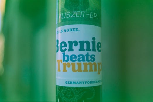 Exploring the Impact and Challenges of Political Advertising in Democracy